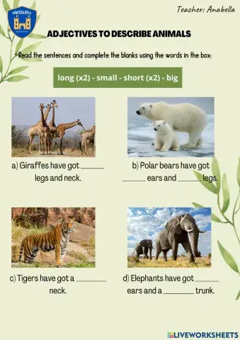 Adjectives to describe animals