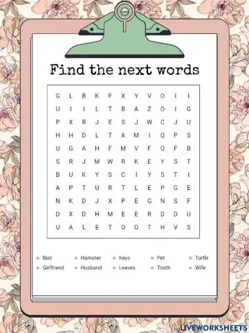 Letter soup vocabulary