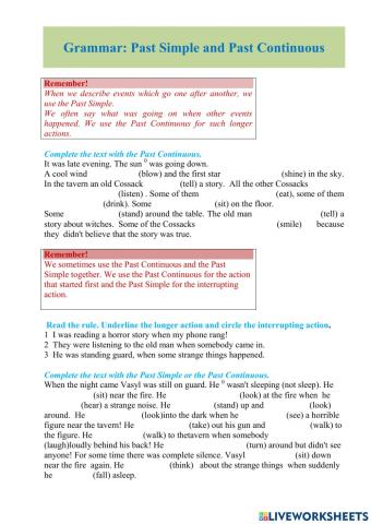 Past Simple Past Continuous