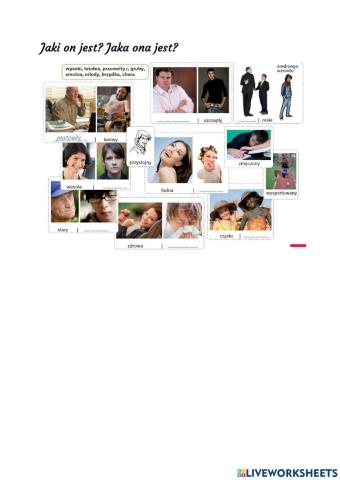 Jaki on jest? Jaka ona jest?