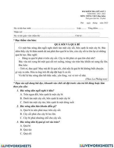 Phiếu ôn tập tuần 29