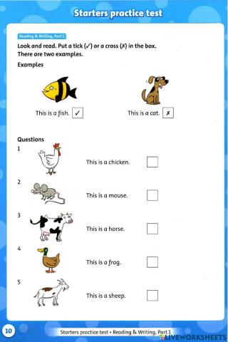 Get ready for staters page 10