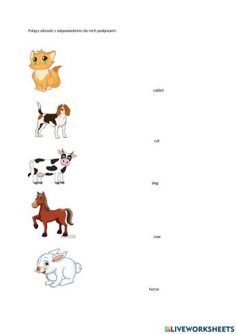 Słówka - zwierzęta