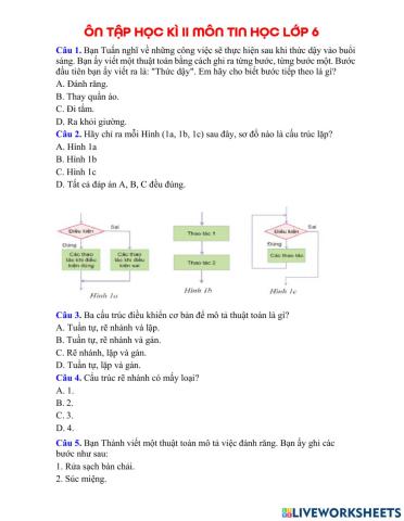 Ôn tập học kì 2 tin 6 năm 21-22