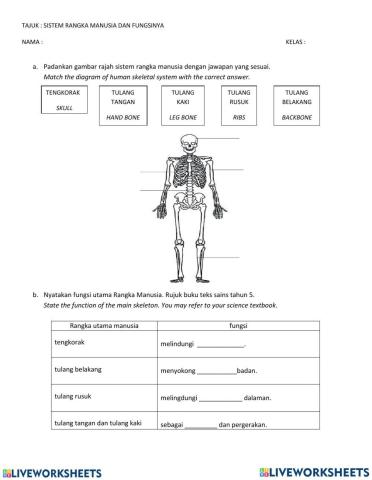Sistem tulang Sains T5