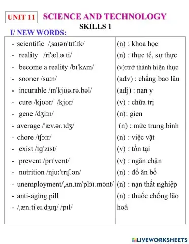 English 8- unit 11- skills