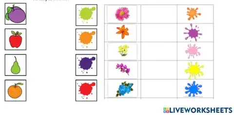 Sm preparation color