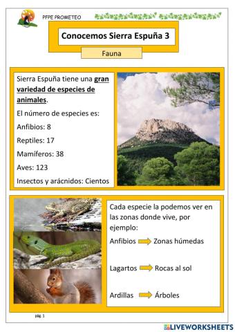 Conocemos Sierra Espuña 3