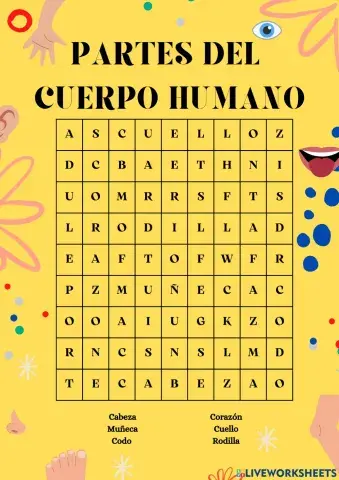 Sopa de letras - El cuerpo humano