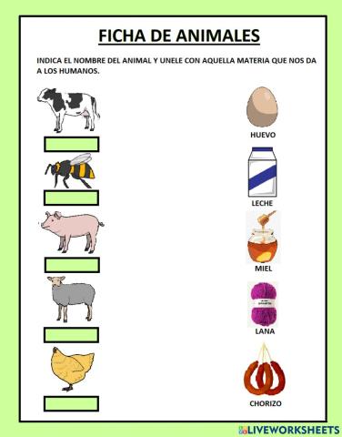 Ficha de animales