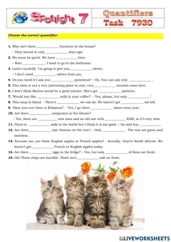 Spotlight 7 Task 7930