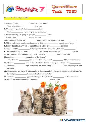 Spotlight 7 Task 7930