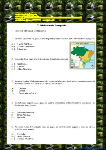 Brasil: Vegetações