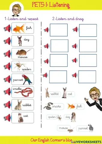 Pets:Listening