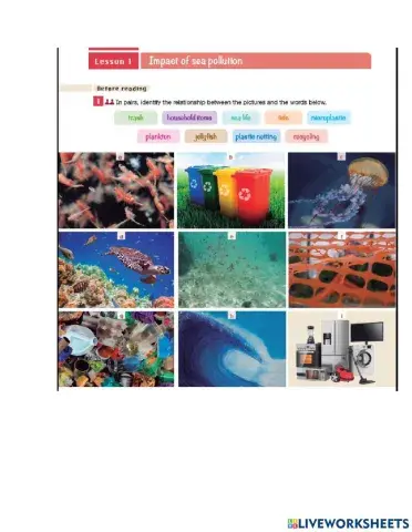 Sea pollution vocabulary