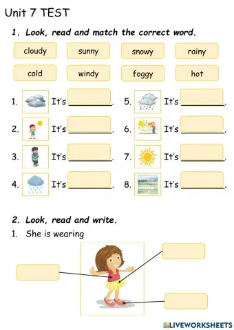 Weather-Clothes-Team Together