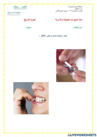 ورقة عمل تقليم4