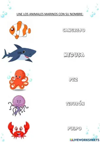 Une los animales marinos con su nombre