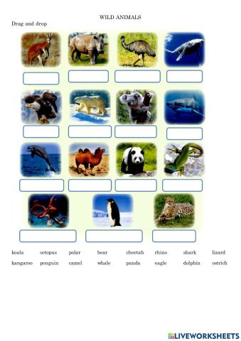 Wild animals