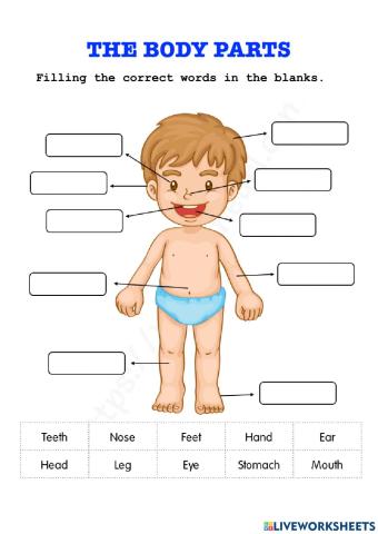 Body parts