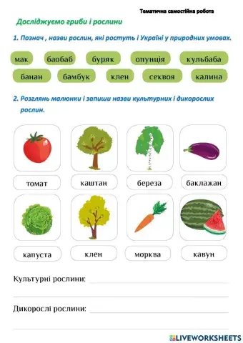 С.Р, Досліджуємо гриби і рослини