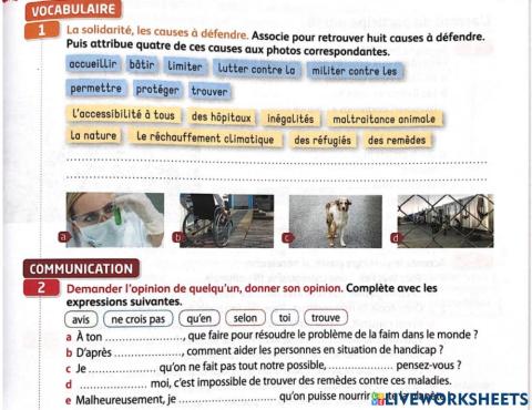 Les problèmes sauciaux