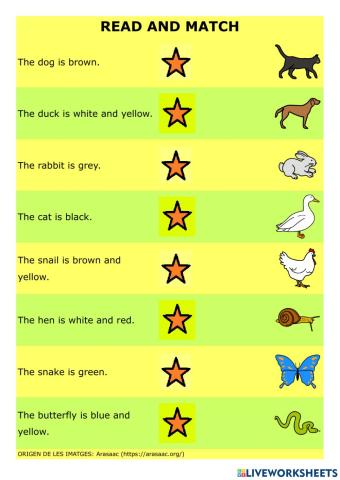 Colours and animals-reading 1