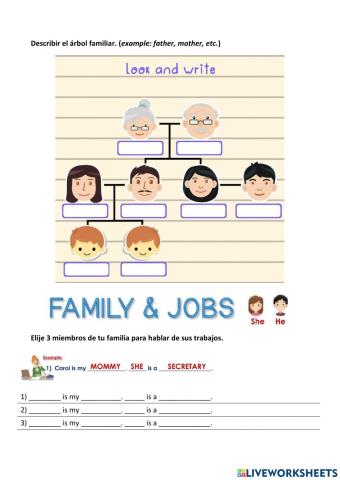 Family members and jobs