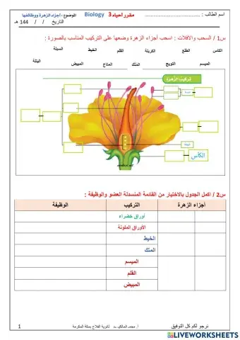أجزاء الزهرة ووظائفها  تفاعلية