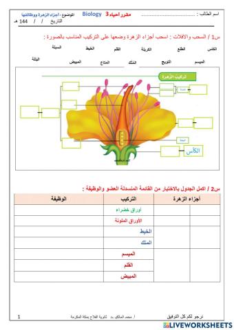 أجزاء الزهرة ووظائفها  تفاعلية