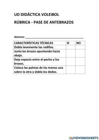 Rúbrica pase voleibol