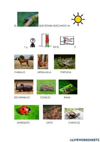 El caracol que buscaba elsol