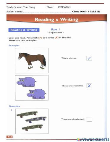 Test 8. reading and writing