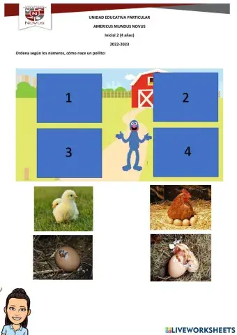 Actividad nacimiento de un pollito