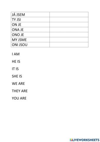 Verb to be Czech and English