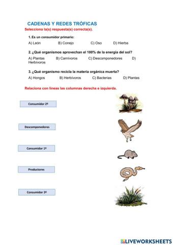 Cadenas y redes troficas