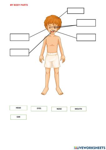 My body Parts