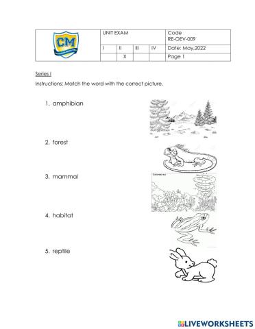 2nd unit exam first grade science