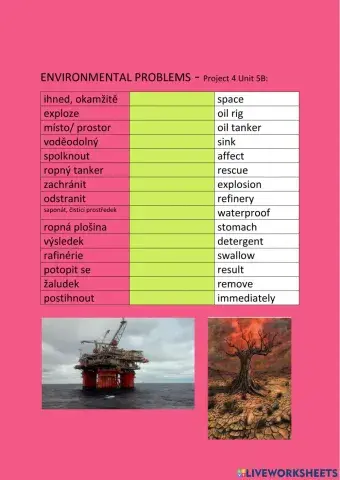 ANG 8 PROJECT 4 UNIT 5B - ENVIRONMENTAL PROBLEMS - drag and drop