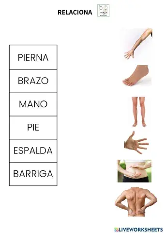 Relacionar palabras partes del cuerpo