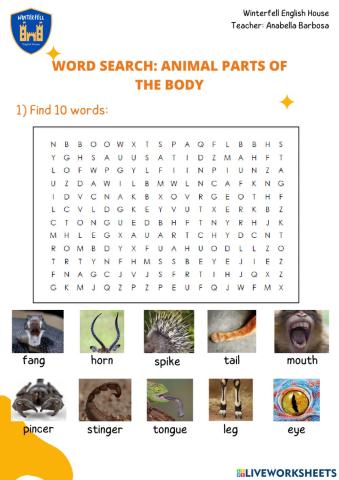 Back to the outback: animal parts of the body and actions