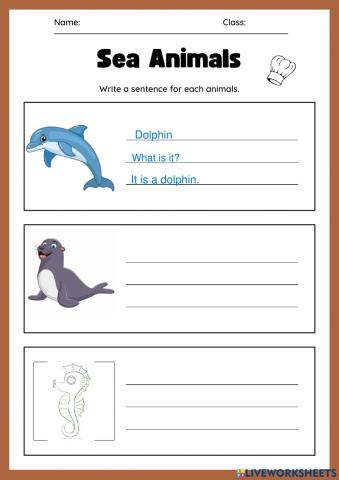 Sea animals