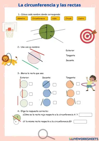 La circunferencia y las rectas