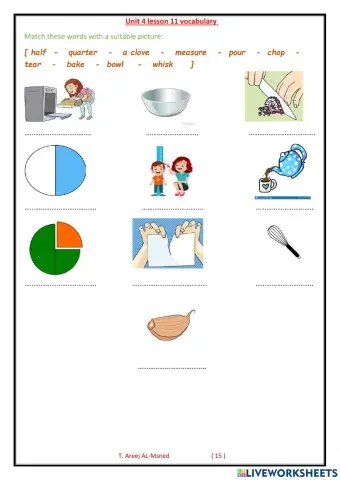 Mega 4 - unit 4 lesson 11 vocab