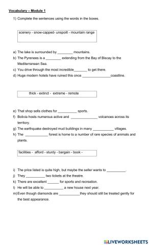 Vocabulary on screen B1 module 1