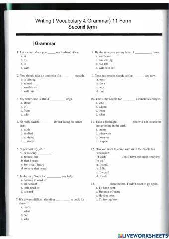 Writing 11 (Vocabulary & Grammar)