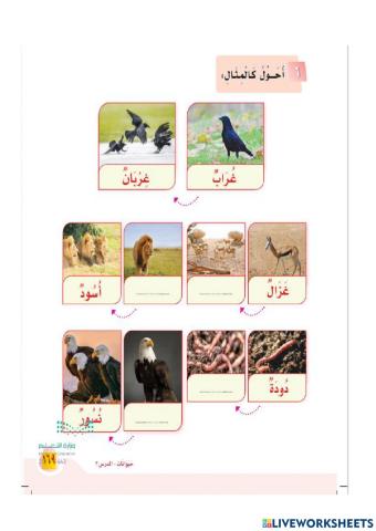 ورقة عمل تفاعلية مكون أحول نص تعلمت درسا