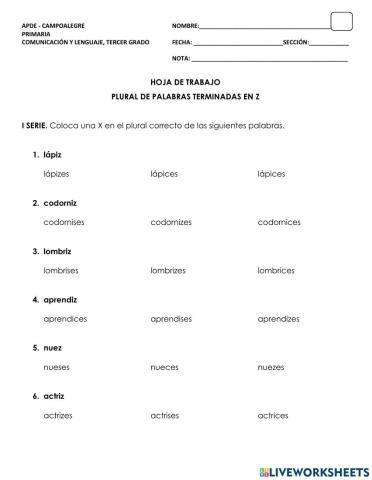 Plural de palabras terminadas en Z