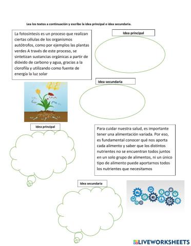 Ideas principales e ideas secundarias