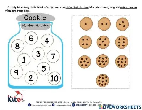 Dolphin 1- number 1 to 10